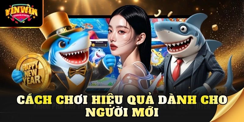 cach choi hieu qua danh cho nguoi moi Cách chơi hiệu quả dành cho người mới