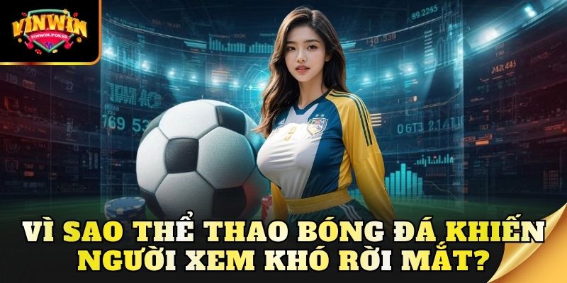 vi sao the thao bong da khien nguoi xem kho roi mat Vì sao thể thao bóng đá khiến người xem khó rời mắt?