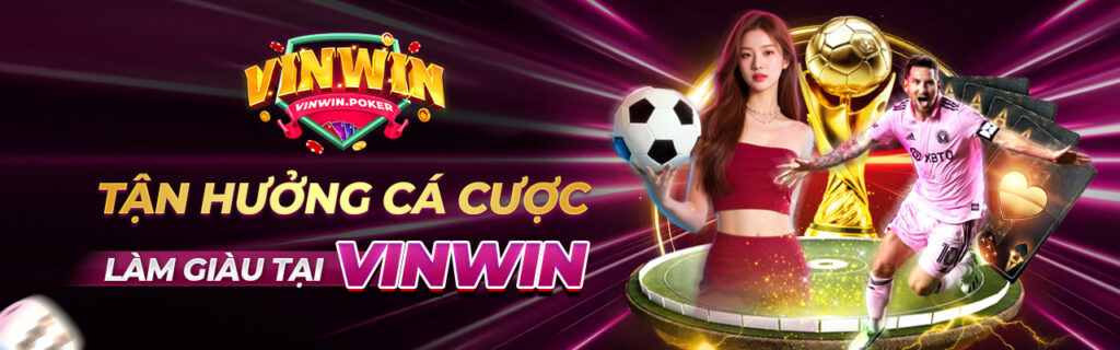 Vinwwin banner 2 copy (1)